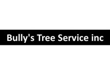 Logo for Bully’s Tree Service Logo for Bully’s Tree Service