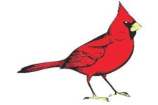 Logo for Cardinal Barbers and Hair Salon Logo for Cardinal Barbers and Hair Salon